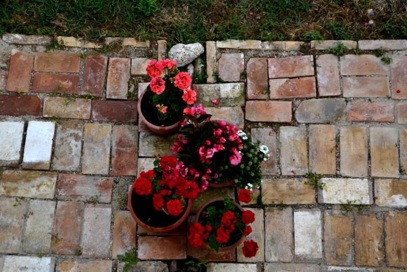B&B Casale Fonte Vecchia Monteprandone Exterior photo