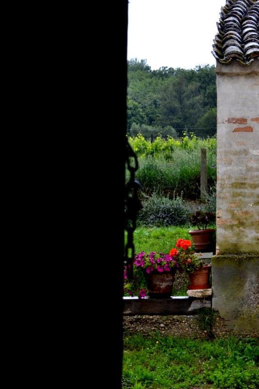 B&B Casale Fonte Vecchia Monteprandone Exterior photo